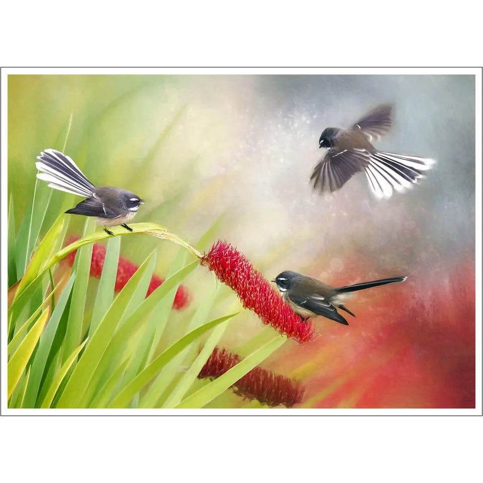 artwork of three fantails fluttering around a red flower