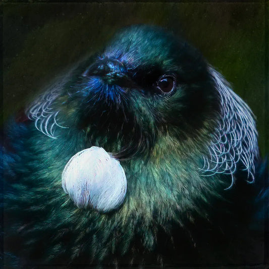 An artwork of a fat tui bird wtih blue pollen on its beak