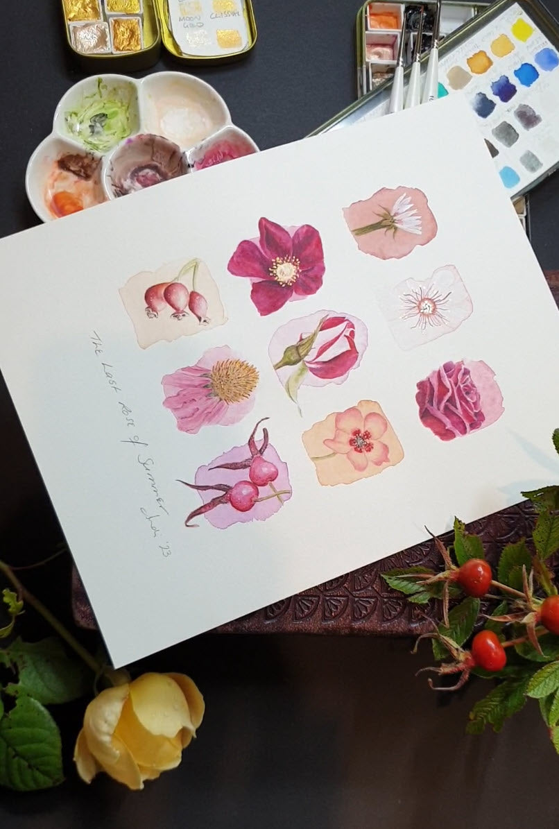 Photo of a botanical watercolour painting with art supplies, a rose, and rose hips