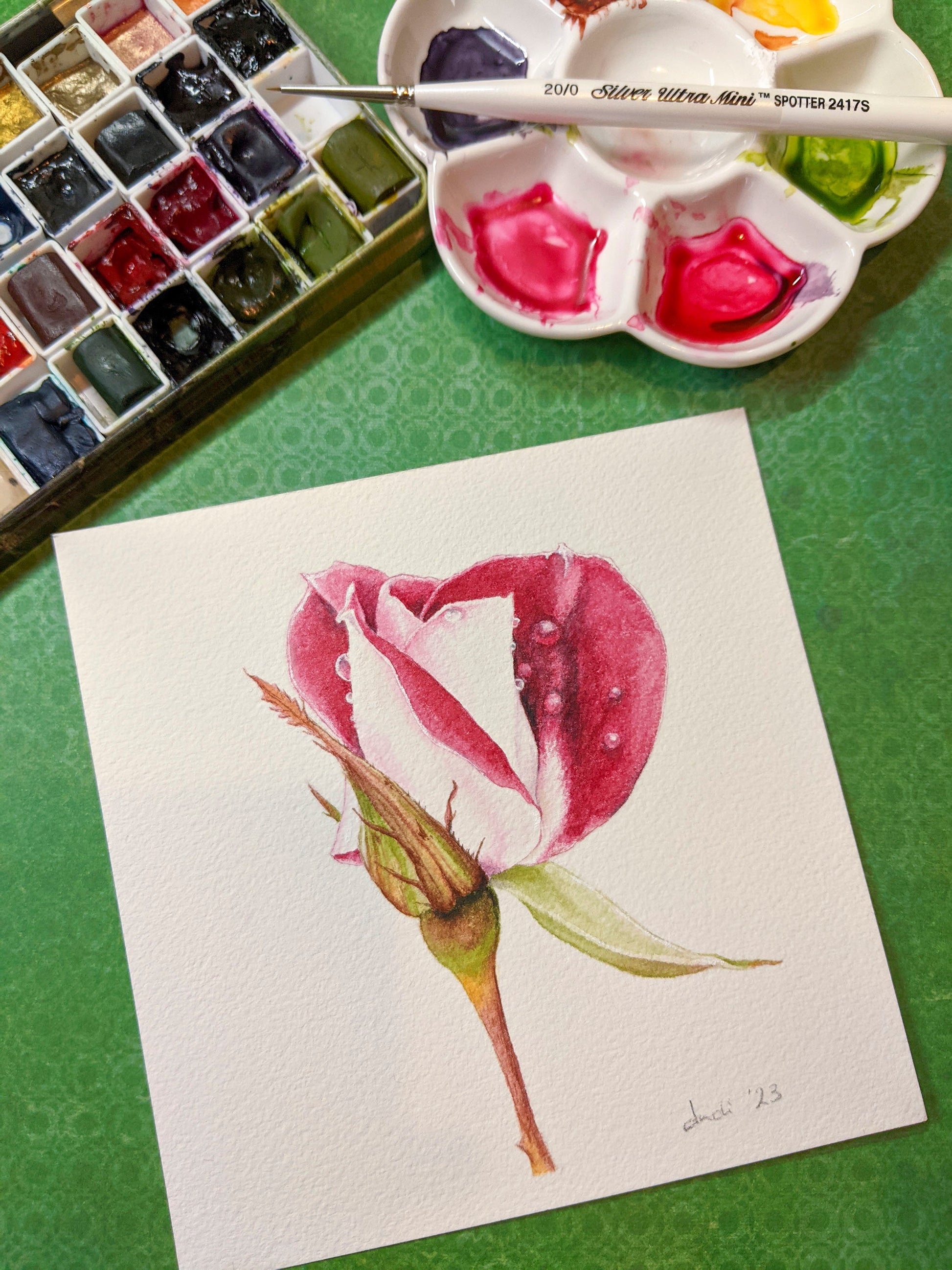 video of a watercolour painting of a red and white rose with art supplies