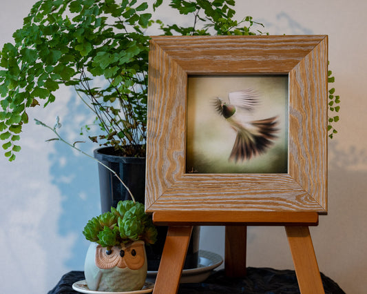 Photo of the framed TinyArt print