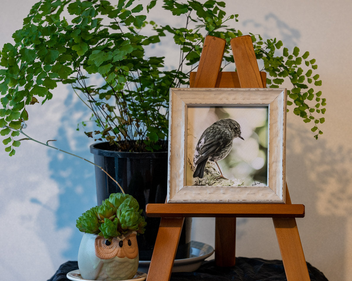 Photo of the framed TinyArt print