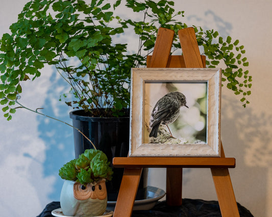 Photo of the framed TinyArt print