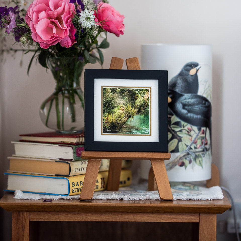 Photo of the framed TinyArt print