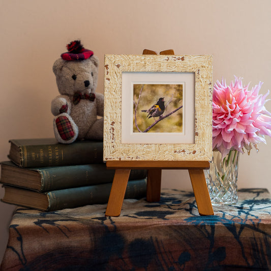 Photo of the framed TinyArt print