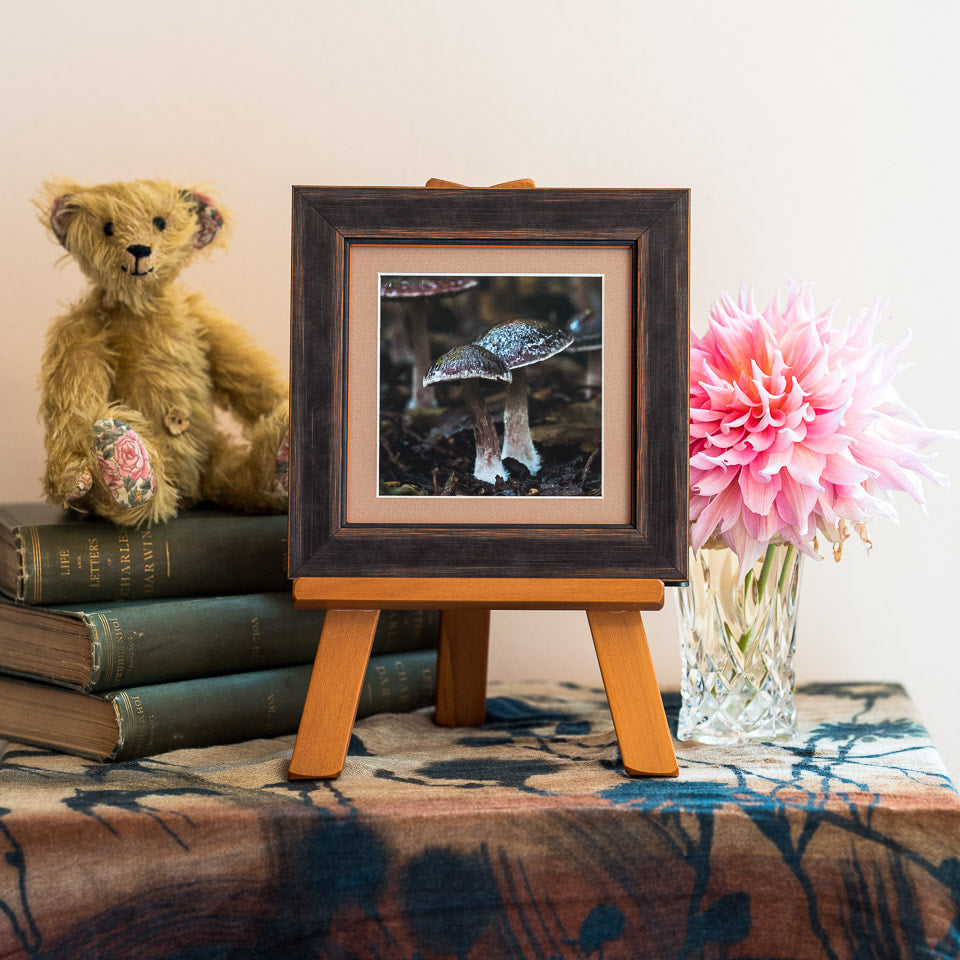 Photo of the framed TinyArt print