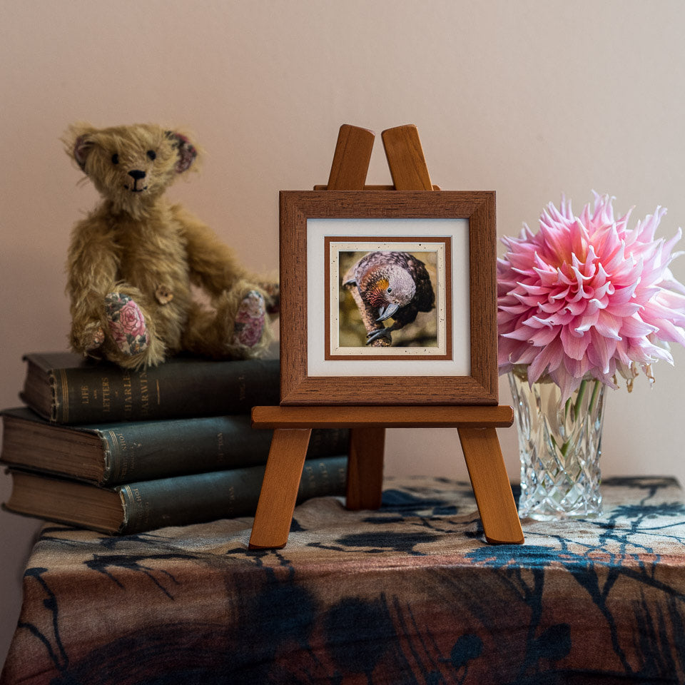 Photo of the framed TinyArt print