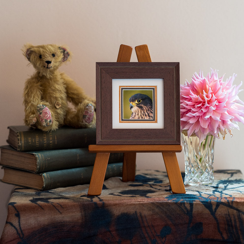Photo of the framed TinyArt print
