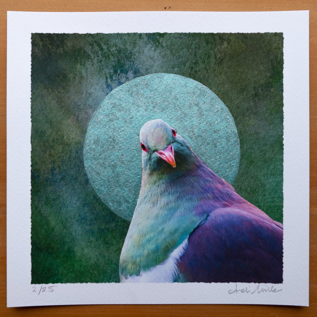 Example of an embellished print with a green pearlescent moon or halo surrounding a kereru