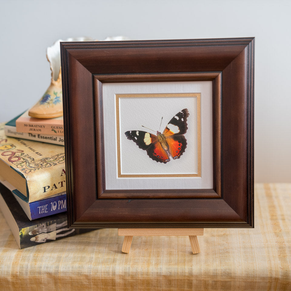 Photo of the framed TinyArt print