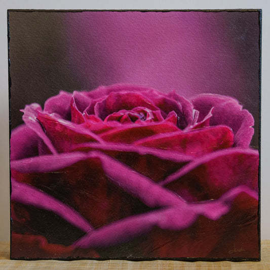 Photo of mounted print of pink and purple rose with an impasto finish