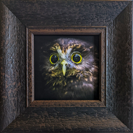 Photo of the framed TinyArt print