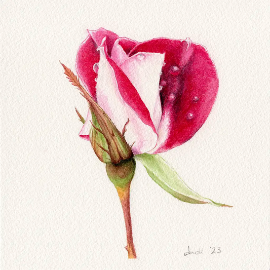 Original artwork