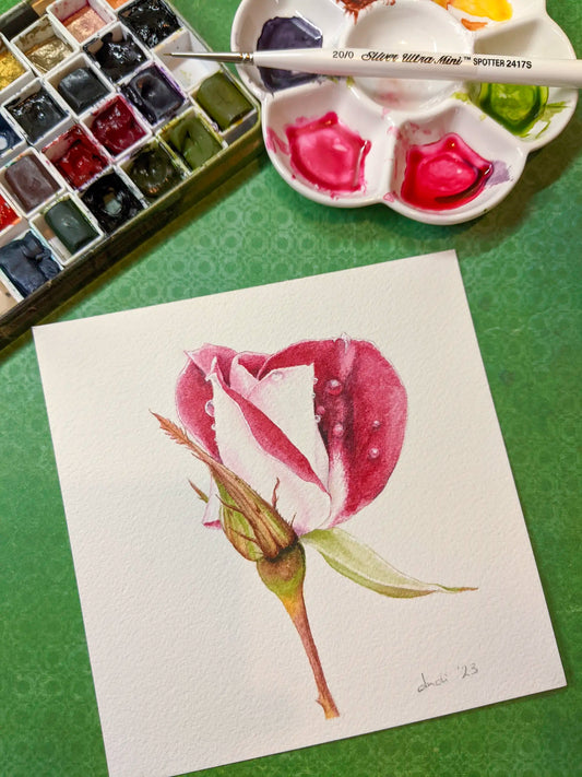 watercolour painting of a red and white rose with art supplies
