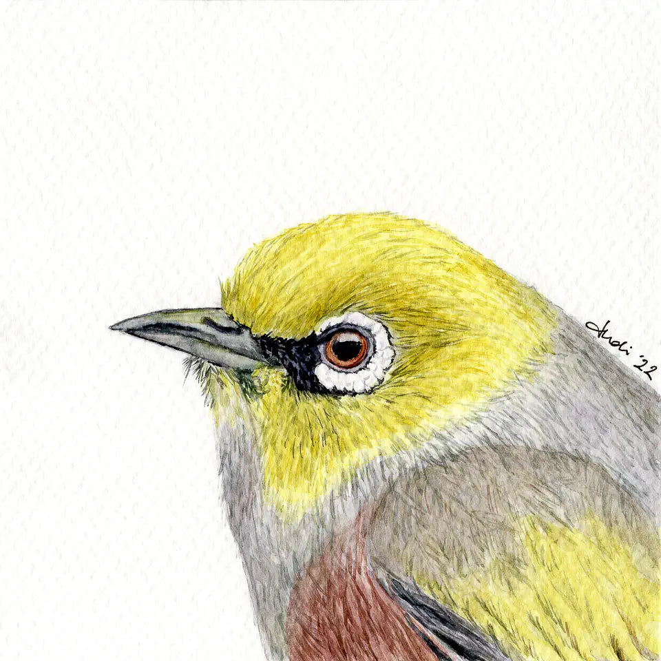 Close-up scan of the tauhou watercolour painting