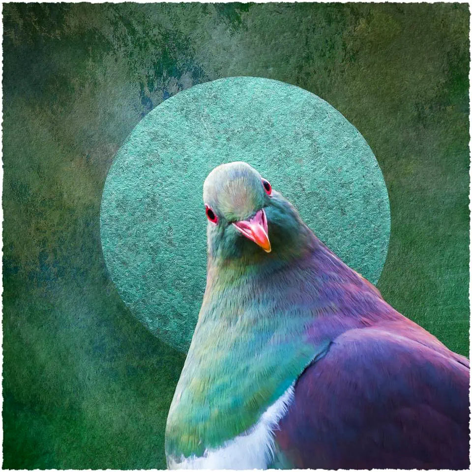 Artwork of a kereru pigeon surrounded by a green halo or moon