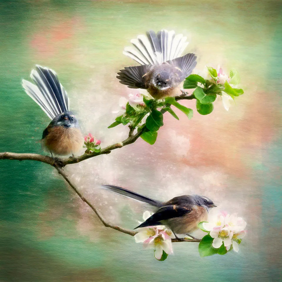 An artwork featuring three cute fantails or piwakawaka flittering around an apple tree branch covered with blossoms