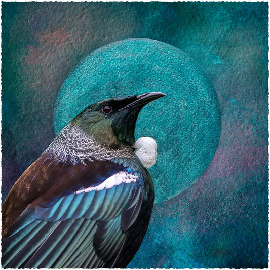 artwork of a tui with an aqua pearlescent moon or halo surround it