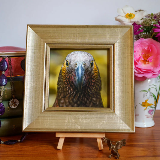 Framed TinyArt