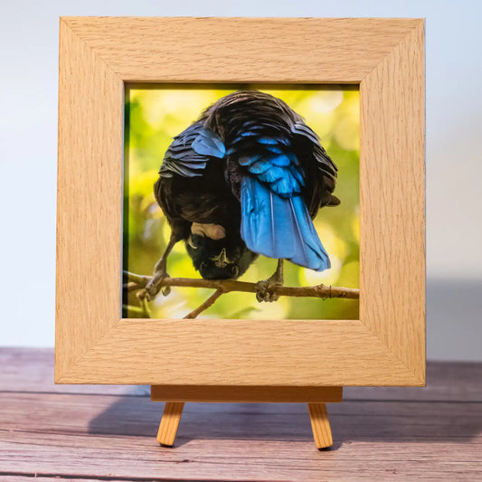 Framed TinyArt