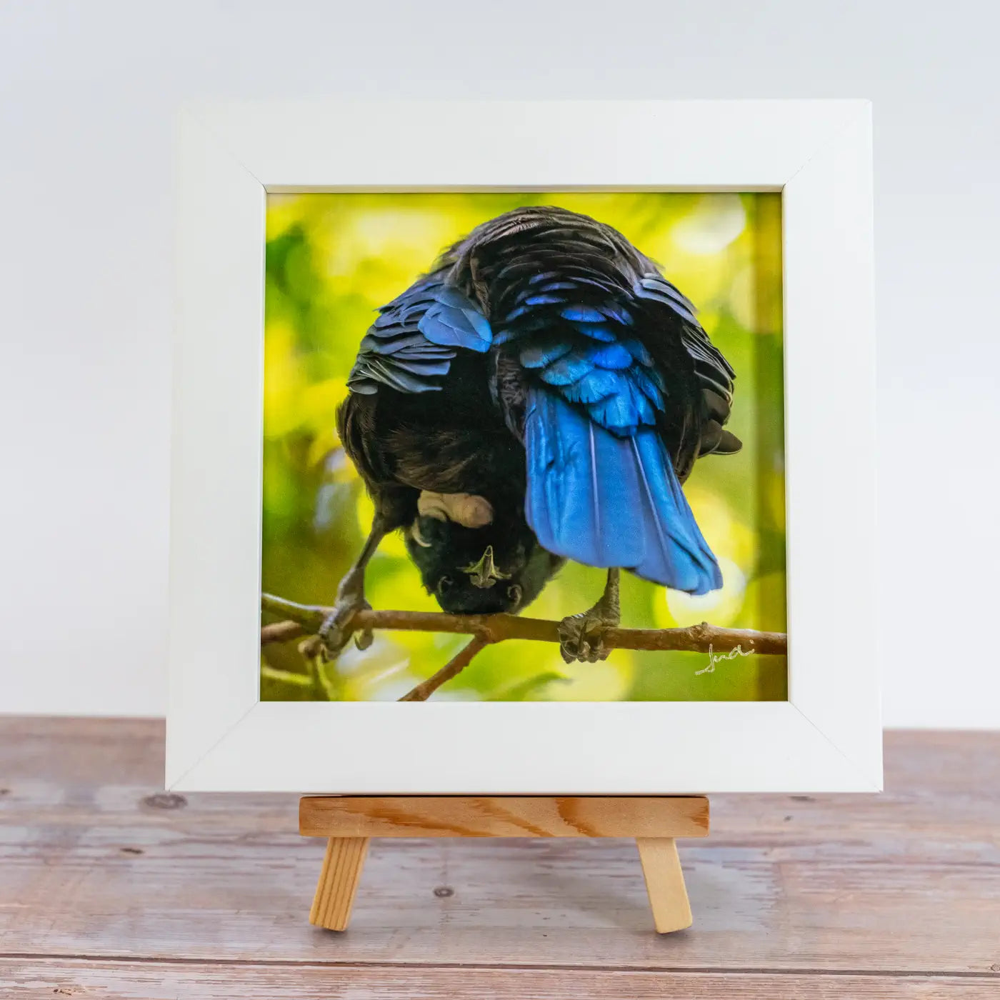 Framed TinyArt