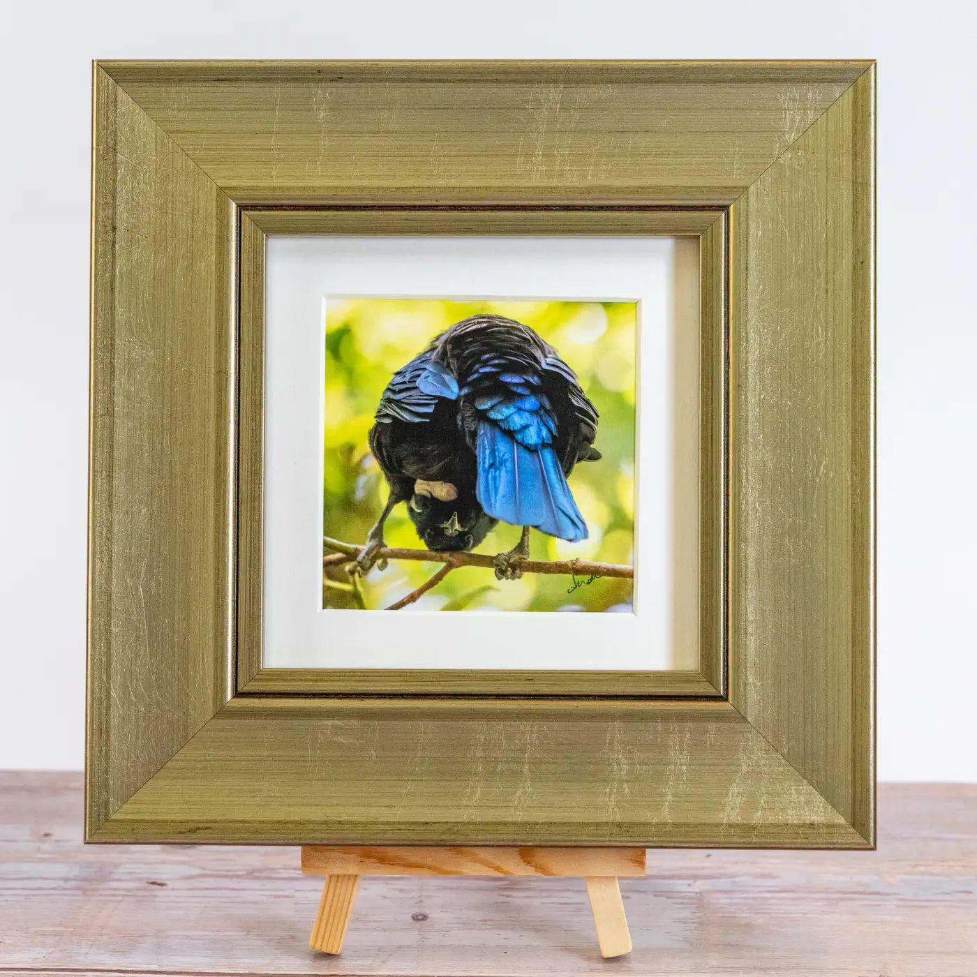 Framed TinyArt