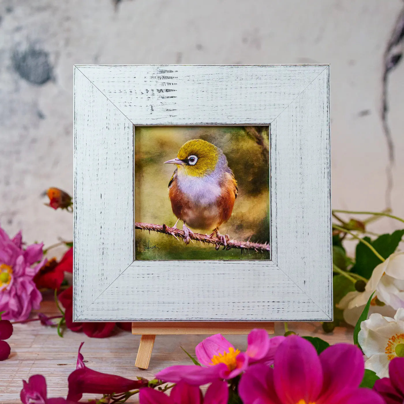 Framed TinyArt