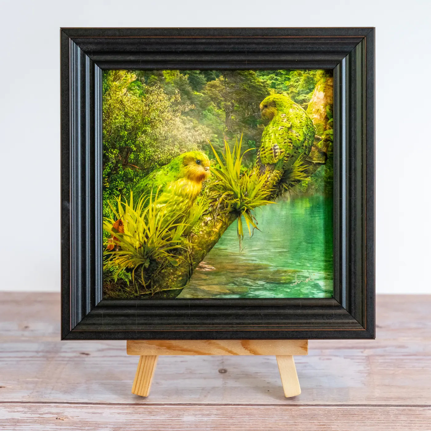 Framed TinyArt