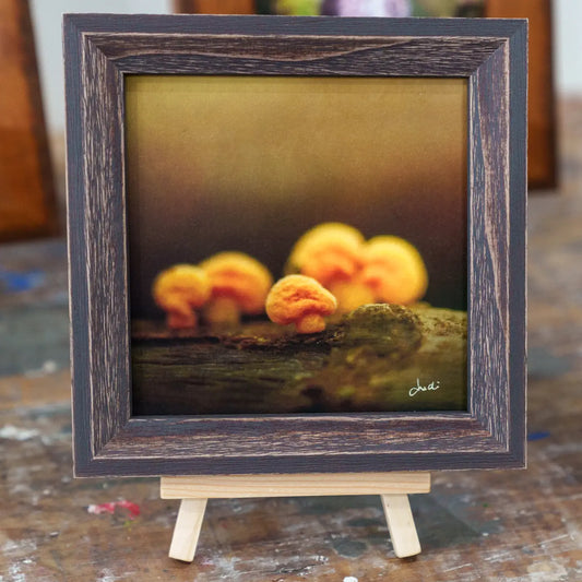 Framed TinyArt