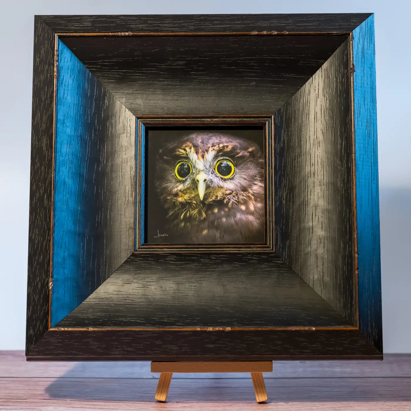 Framed TinyArt