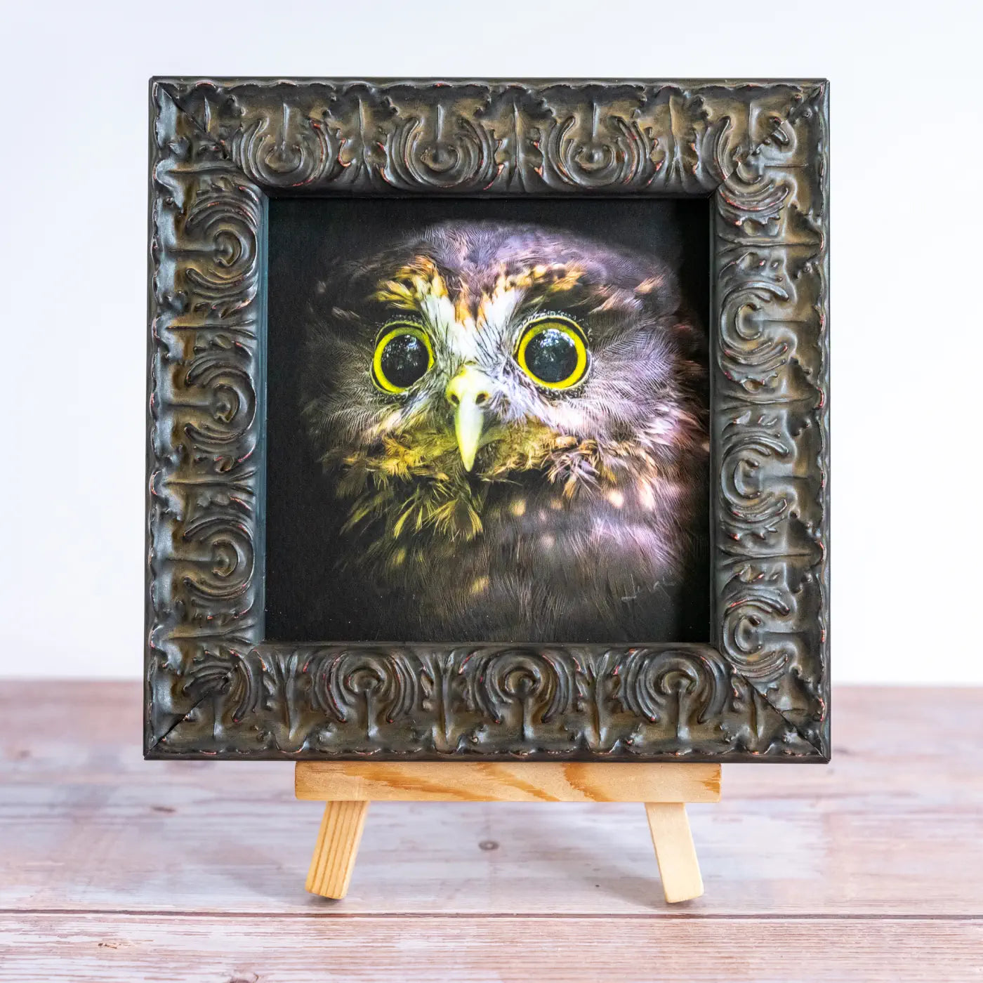 Framed TinyArt