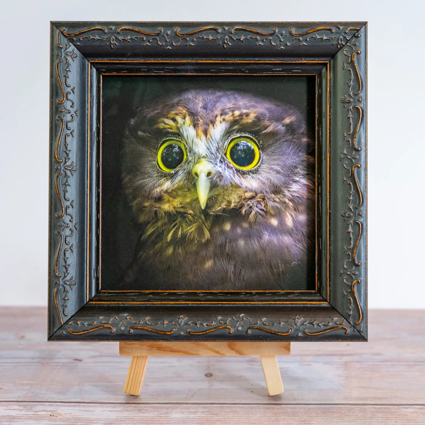 Framed TinyArt