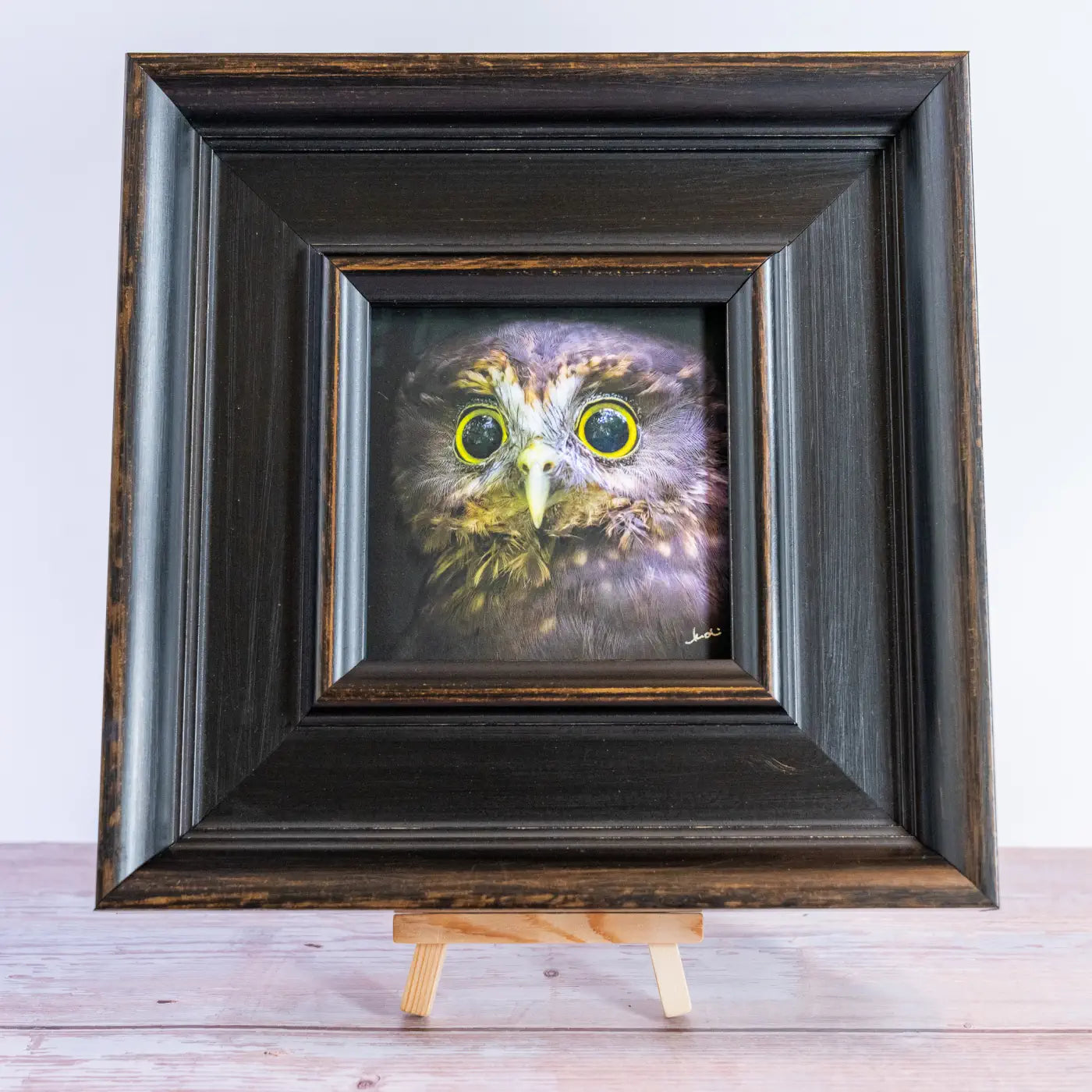 Framed TinyArt