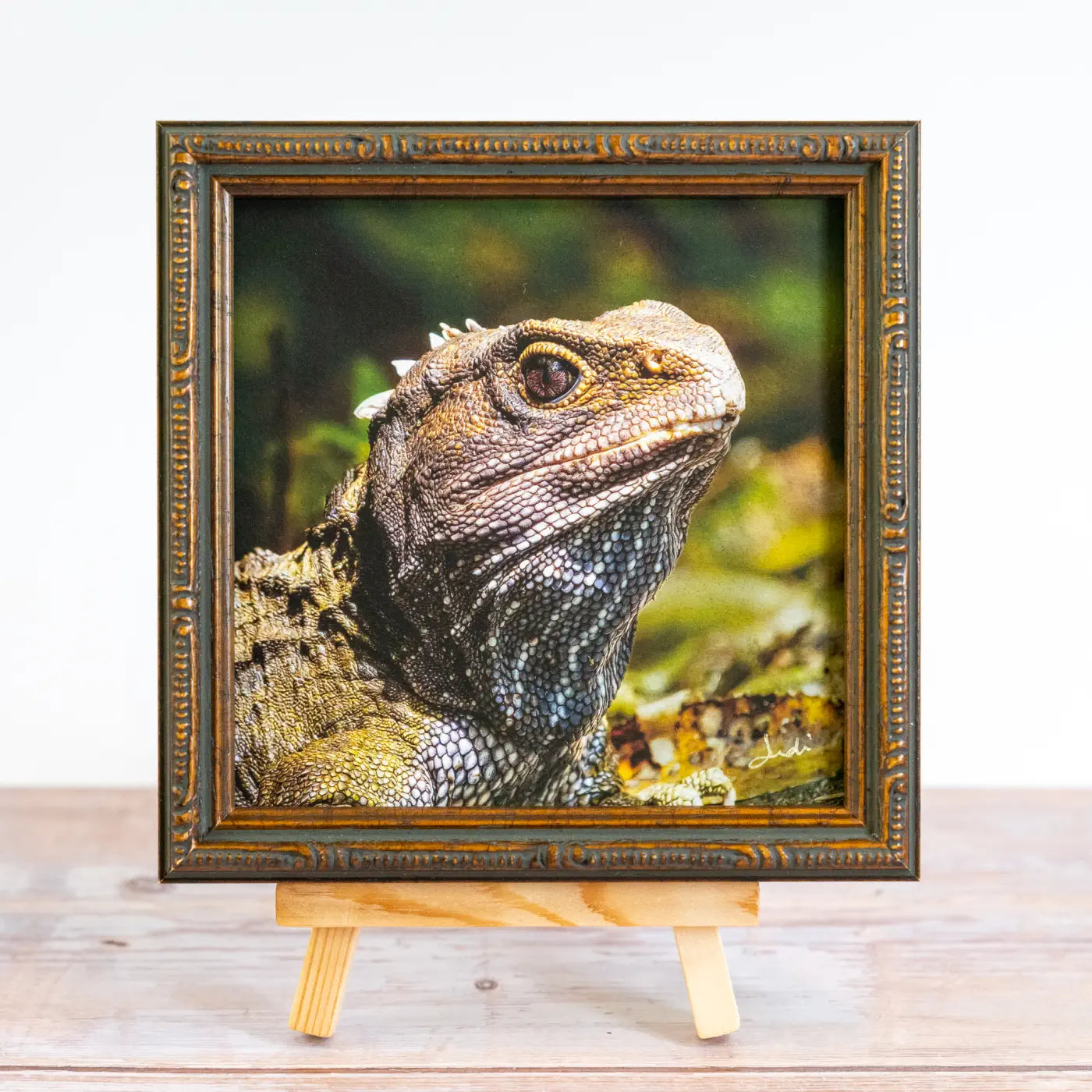 Framed TinyArt