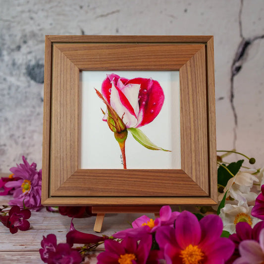 Framed TinyArt