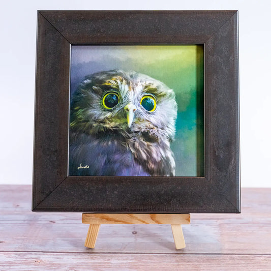 Framed TinyArt