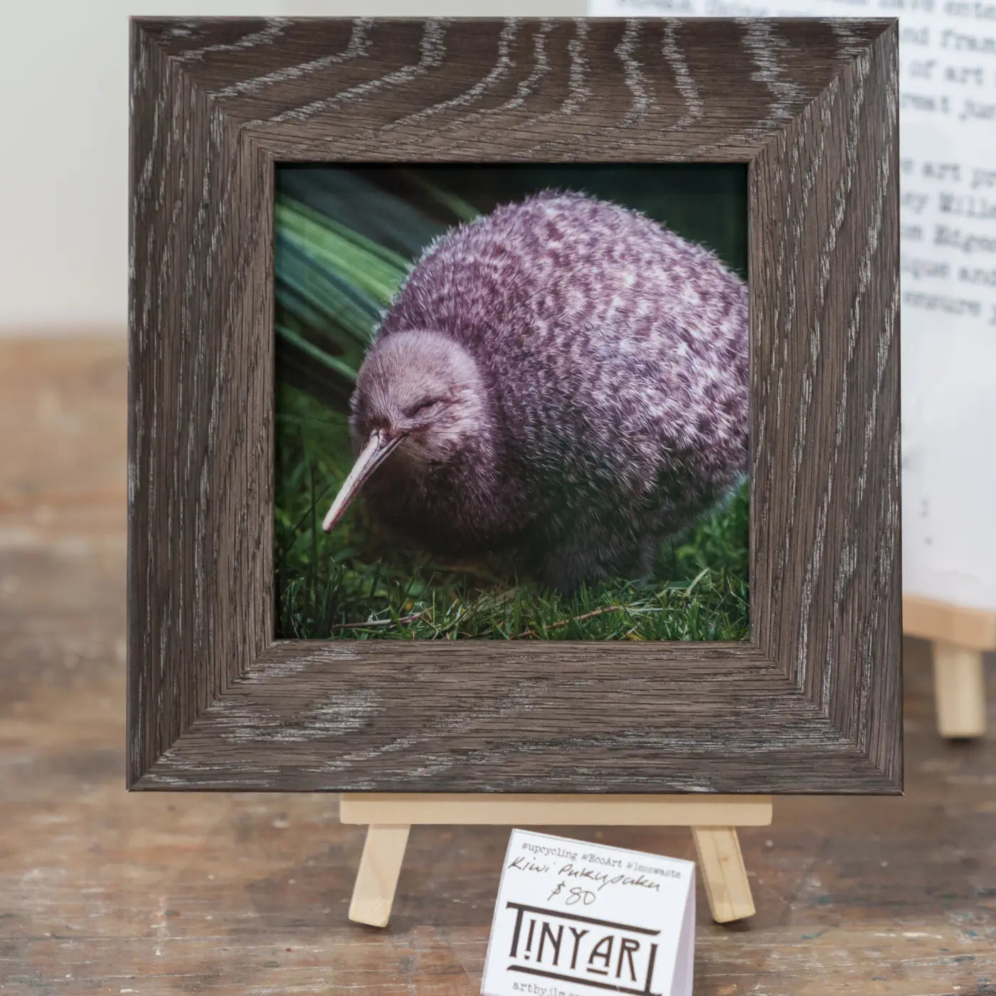 Framed TinyArt