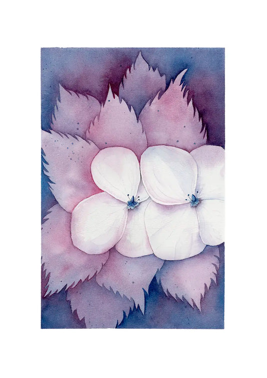 Watercolour print of two hydrangea flowers nestled in leaves in shades of purple and pink