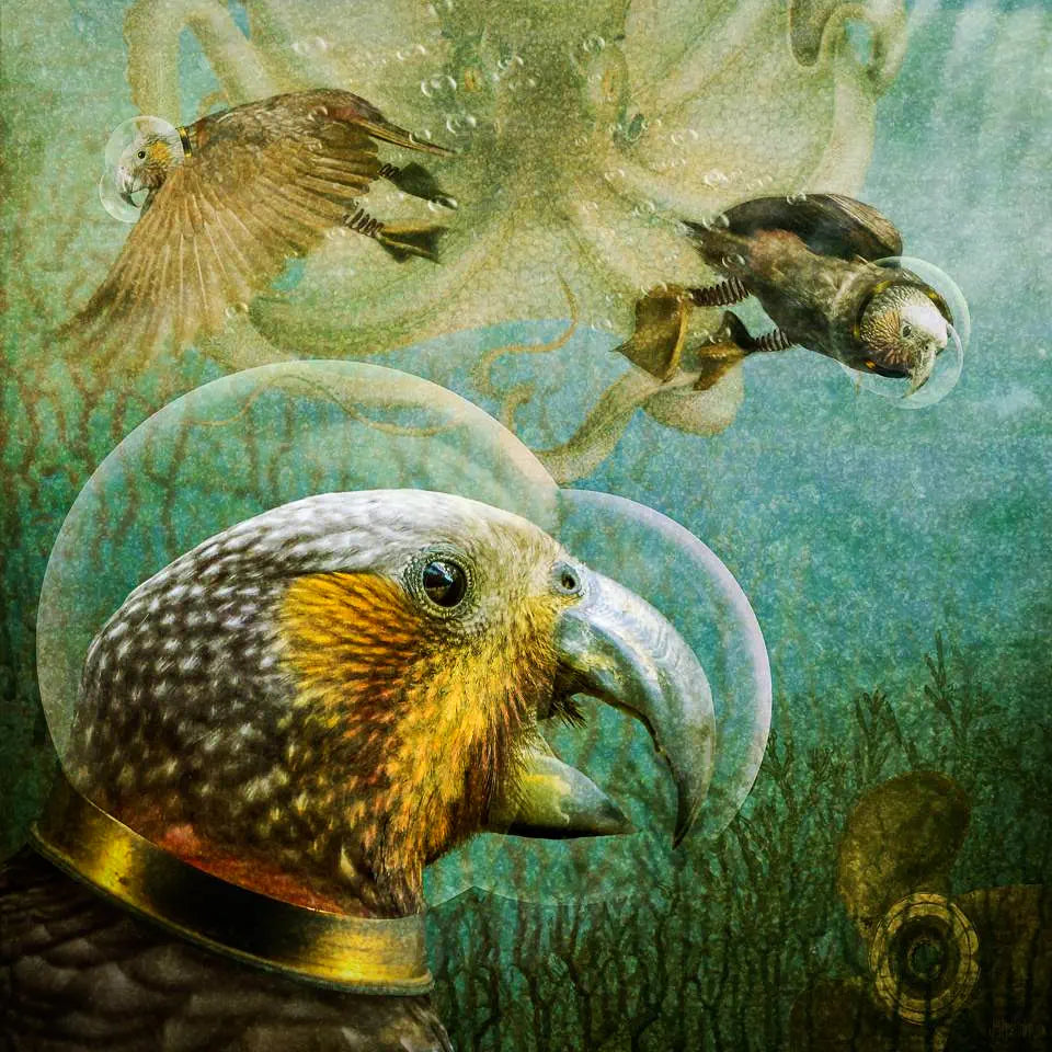 A surreal steampunk artwork of three kaka parrots diving underwater with oldfashioned diving bell helmets