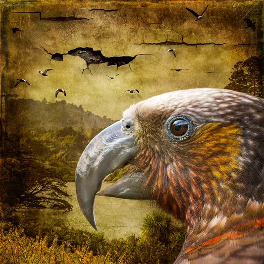 A grungy artwork of a kaka parrot looking over a lake. The sky is cracked and birds are flying through the holes.