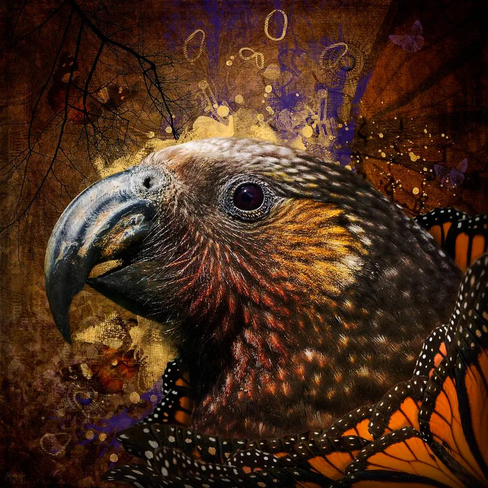 An artwork of a kaka parrot in profile encircled with monarch butterfly wings against a splattery background